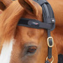 Premier Equine Bi-Polar Magni-Teque Brow Band in Black - side