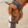 Premier Equine Bi-Polar Magni-Teque Poll Band in Black - lifestyle