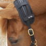 Premier Equine Bi-Polar Magni-Teque Poll Band in Black - on headcollar