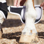 Premier Equine Bi-Polar Magni-Teque Fetlock Boots in Black - inner boot