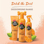 Pet Head Ditch The Dirt Dog Spray in Orange - collection