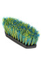 EZI-GROOM Shape Up Dandy Brush - Blue/Yellow