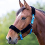 Shires Fleece Lined Headcollar - Blue