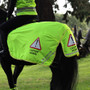 EQUI-FLECTOR Mesh Exercise Sheet - Yellow - Lifestyle