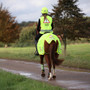 EQUI-FLECTOR Mesh Exercise Sheet - Yellow -Back