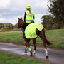 EQUI-FLECTOR Mesh Exercise Sheet - Yellow - Lifestyle