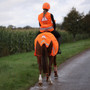 EQUI-FLECTOR Mesh Exercise Sheet - Orange - Back