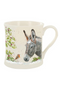 Bree Merryn Donkey & Robin Mug