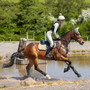 LeMieux Classique Close Contact Saddle Pad - Fern - lifestyle
