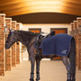 LeMieux Clima-Tek Exercise Quarter Sheet - Navy