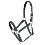 LeMieux Essential Yard Headcollar - Thyme