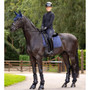 LeMieux Crystal Suede Dressage Saddle Pad - Navy - Lifestyle