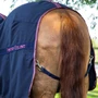 Premier Equine Barrasso Cotton Stable Sheet in Navy - Tail Strap