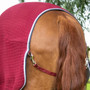 Premier Equine Premtex Cooler Rug in Burgundy - Tail Strap