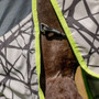 Horseware Amigo 3-In-1 Camo Fly Rug - Camo Print/Lime -  Tail