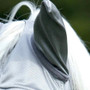 Premier Equine Buster Xtra Fly Mask in Silver - Ear Protection