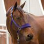 ARMA Fleece Headcollar and Leadrope Set - Navy - Lifestyle