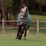 WeatherBeeta ComFiTec Tyro Combo Turnout Rug Plus 50g - Green/Orange/White - Lifestyle