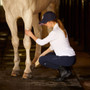 Lifestyle image of the Ariat Ladies EOS 2.0 Full Seat Tights in Navy Eclipse and horse