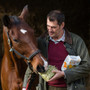 Equilibrium Vitamunch - Hedgerow