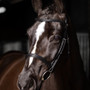 LeMieux Arika Cavesson Bridle - Black/Silver - Lifestyle