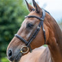 LeMieux Arika Cavesson Bridle - Brown/Silver - Lifestyle