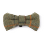 Digby & Fox Bow Tie - Red/Yellow