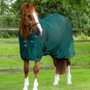 Premier Equine Ventoso Mesh Cooler Rug in Green - Front Lifestyle