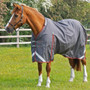 Premier Equine Buster Turnout Rug with Classic Neck Cover 150g in Grey - Lifestyle without neck