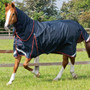 Premier Equine Buster Turnout Rug with Classic Neck Cover 150g in Navy - Lifestyle with neck