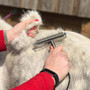 Smart Grooming Smart Coats - Lifestyle 2