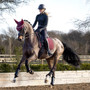 LeMieux Soft Shell Anti Slip Dressage Saddle Pad - Burgundy