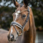 LeMieux Kudos Patent Dressage Bridle - Brown/White - Lifestyle