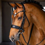 LeMieux Kudos Double Bridle - Black - Lifestyle