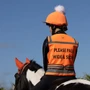 Woof Wear Hi Vis Riding Vest in Hi Viz Orange -  Lifestyle Back