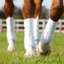 Premier Equine Carbon Air-Tech Single Locking Brushing Boots in White - Front and Back Lifetsyle