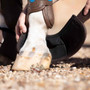 Premier Equine Ballistic No Turn Over Reach Boots in Brown - Lifestyle Putting Boot On