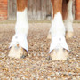 Premier Equine Ballistic No Turn Over Reach Boots in White - Front