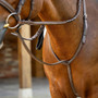 LeMieux Hunter Standing Martingale - Lifestyle