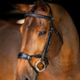 LeMieux Kudos Clear Arc Bridle in Black - lifestyle