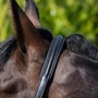 Premier Equine Rego Padded Leather Headcollar - Black - Headpiece Detail