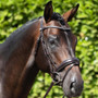 Premier Equine Stellazzio Anatomic Snaffle Bridle with Flash - Brown - Lifestyle