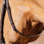 Premier Equine Throatlash in Brown - Lifestyle
