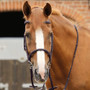 Premier Equine Caloveto Web Reins in Brown - Lifestyle