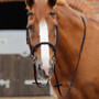 Premier Equine Altare Web Reins in Brown - Lifestyle