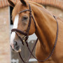 Premier Equine Pietro Laced Reins in Brown - Lifestyle