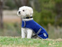WeatherBeeta ComFiTec Premier Free Parka Medium Dog Coat  - Lifestyle