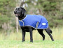 WeatherBeeta ComFiTec Premier Free Parka Medium Dog Coat - Lifestyle