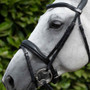 Premier Equine Cheek Pieces in Black - Lifestyle
