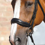 Premier Equine Verdura Anatomic Cavesson Noseband - Black - Lifestyle